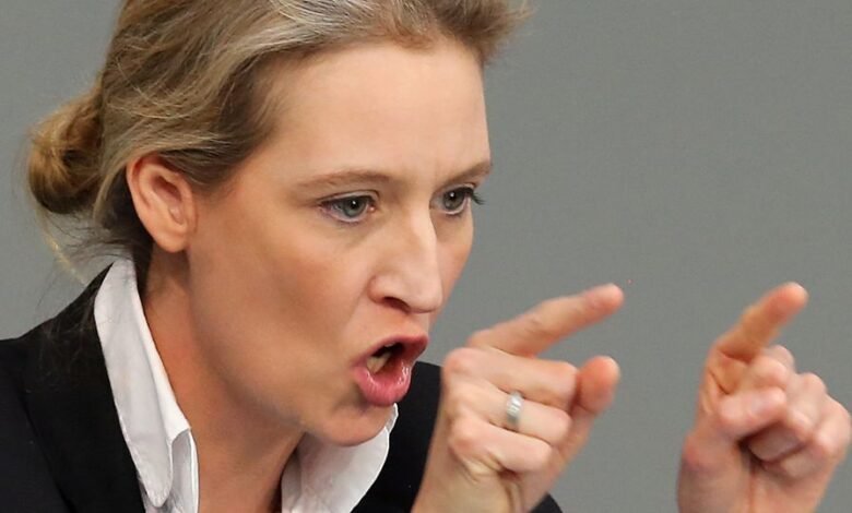 alice weidel ohr